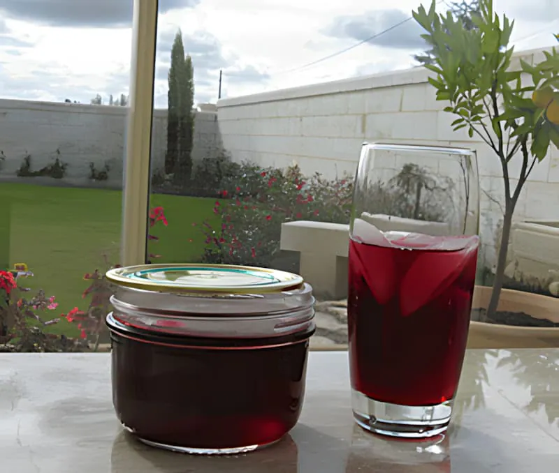 Un pot de gelée de raisin rouge foncé et un verre de jus de raisin couleur rubis sur une table, avec un jardin et un mur blanc visible en arrière-plan.