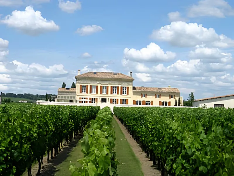 Ein Blick eine Reihe von üppigen grünen Reben entlang führend zu einem großen, traditionellen französischen Château in der Ferne unter blauem Himmel mit fluffigen Wolken.