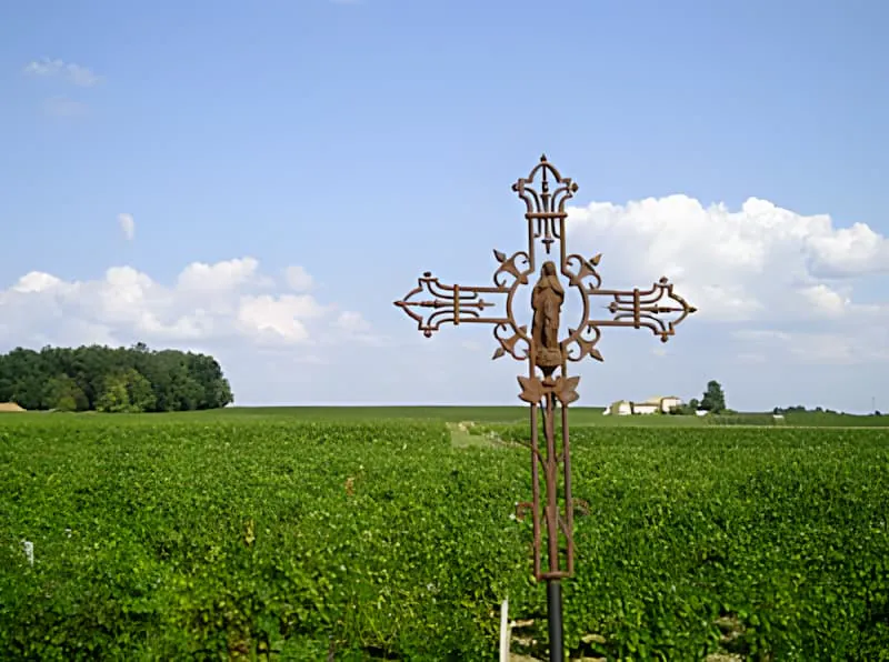 An ornate, rusty iron cross stands in front of a vast green vineyard under a blue sky with white clouds.