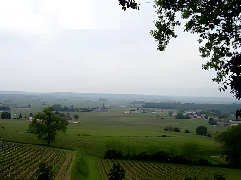 A sweeping landscape view of rolling green vineyards and countryside stretching to the horizon under a partly cloudy sky.
