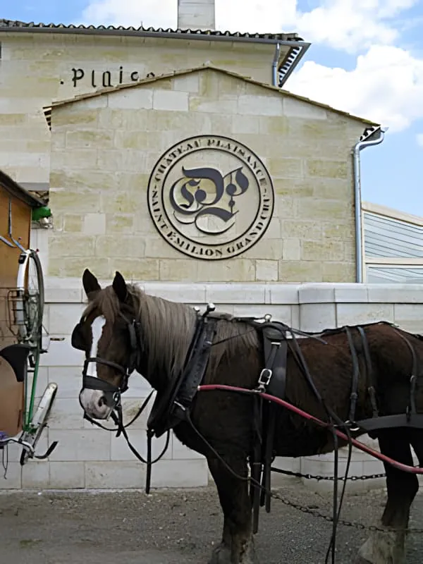 Two horses harnessed to what appears to be a traveling cart or wagon, with a stone building featuring a circular logo in the background.