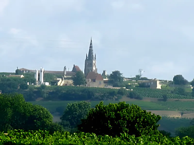 Une vue pittoresque du village historique de Saint-Émilion avec son clocher d'église distinctif et ses bâtiments médiévaux entourés de vignobles.